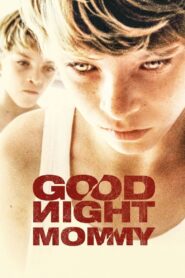 Goodnight Mommy Online In Netflix