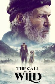 The Call of the Wild Online In Netflix