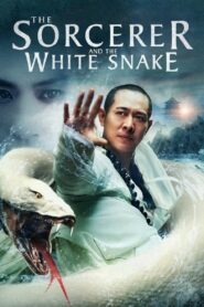 The Sorcerer and the White Snake Online In Netflix