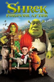 Shrek Forever After Online In Netflix