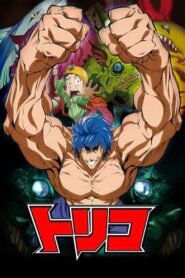 Toriko: Jump Super Anime Tour 2009 Special Online In Netflix