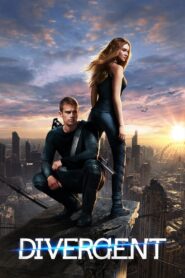 Divergent Online In Netflix