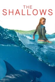 The Shallows Online In Netflix