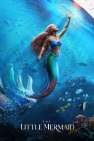 The Little Mermaid Online In Netflix