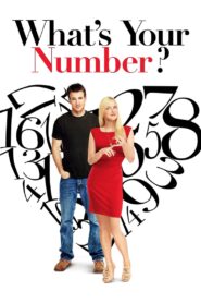 What’s Your Number? Online In Netflix