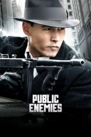 Public Enemies Online In Netflix