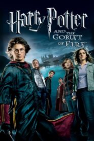 Harry Potter and the Goblet of Fire Online In Netflix