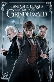 Fantastic Beasts: The Crimes of Grindelwald Online In Netflix