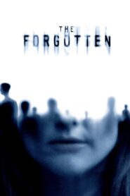 The Forgotten Online In Netflix