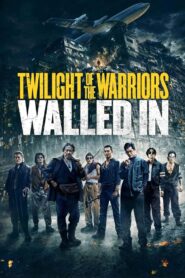 Twilight of the Warriors: Walled In Online In Netflix