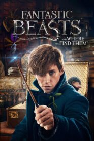 Fantastic Beasts and Where to Find Them Online In Netflix