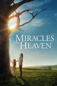 Miracles from Heaven Online In Netflix