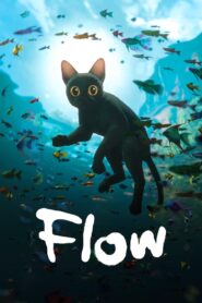 Flow Online In Netflix