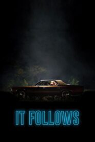 It Follows Online In Netflix