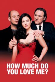 How Much Do You Love Me? Online In Netflix