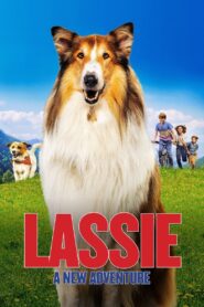 Lassie: A New Adventure Online In Netflix