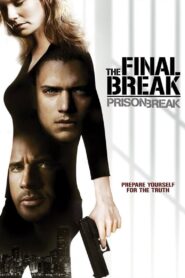 Prison Break: The Final Break Online In Netflix