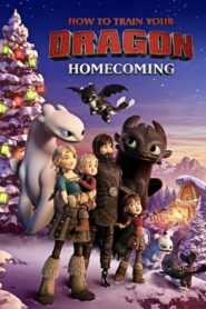 How to Train Your Dragon: Homecoming Online In Netflix