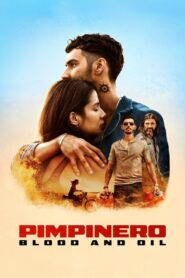 Pimpinero: Blood and Oil Online In Netflix