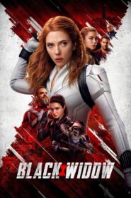 Black Widow Online In Netflix