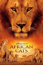 African Cats Online In Netflix