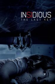 Insidious: The Last Key Online In Netflix