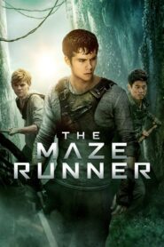 The Maze Runner Online In Netflix