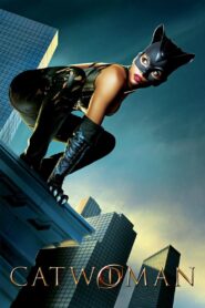 Catwoman Online In Netflix