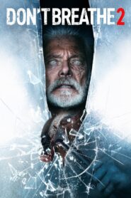 Don’t Breathe 2 Online In Netflix