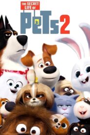 The Secret Life of Pets 2 Online In Netflix