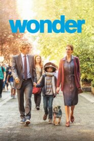 Wonder Online In Netflix