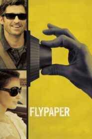 Flypaper Online In Netflix