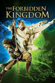 The Forbidden Kingdom Online In Netflix