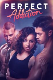 Perfect Addiction Online In Netflix