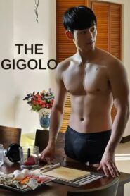 The Gigolo Online In Netflix