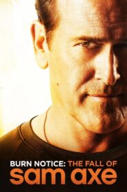 Burn Notice: The Fall of Sam Axe Online In Netflix