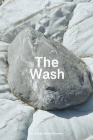 The Wash Online In Netflix