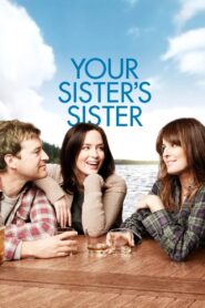 Your Sister’s Sister Online In Netflix