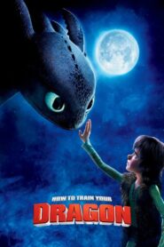 How to Train Your Dragon Online In Netflix