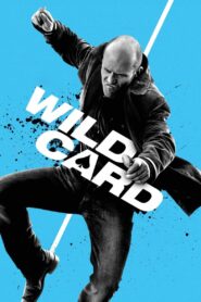 Wild Card Online In Netflix