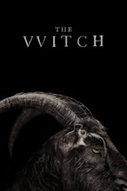 The Witch Online In Netflix