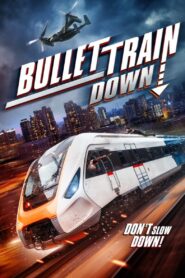 Bullet Train Down Online In Netflix