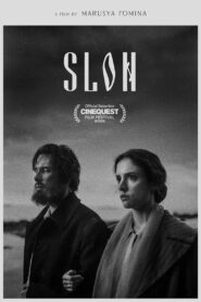 SLON Online In Netflix